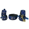 Fessel-Set Leder Blau