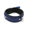 Halsband Leder Blau