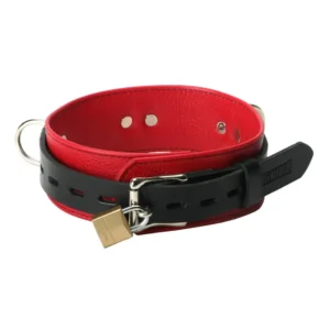 BDSM Halsband Leder  - schwarz/rot