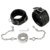 Hand Cuffs & Cock Ring