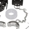 Hand Cuffs & Cock Ring